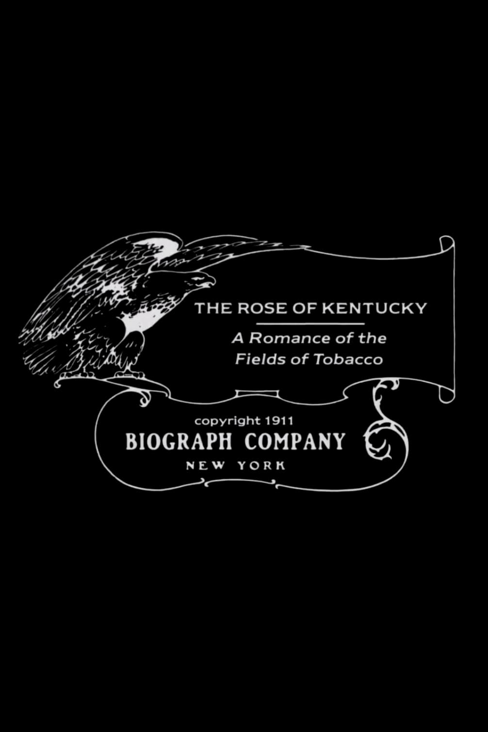 The Rose of Kentucky (1911) постер