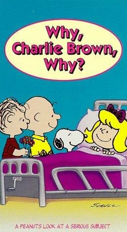 Why, Charlie Brown, Why? (1990) постер