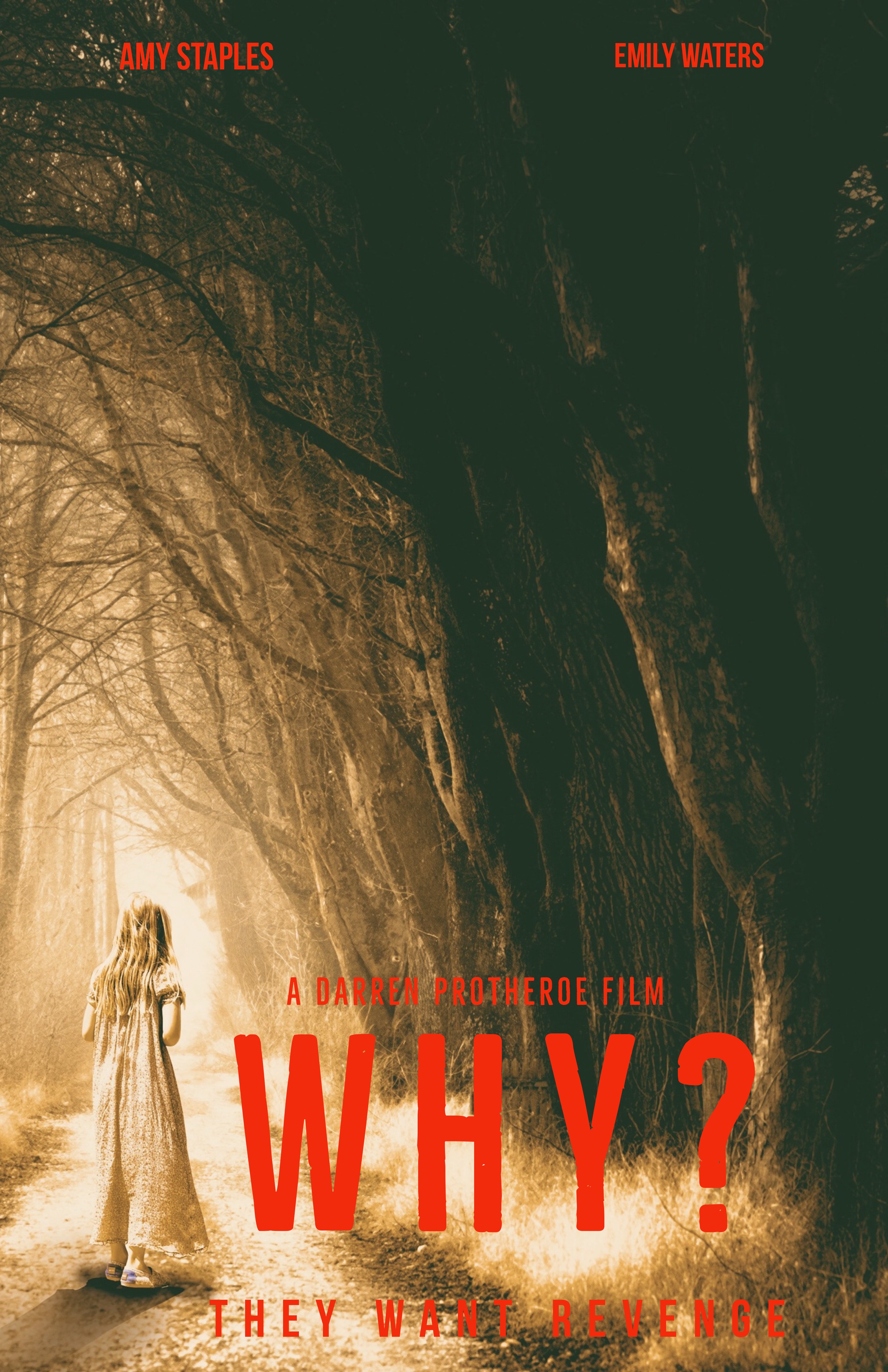 Why? (2020) постер
