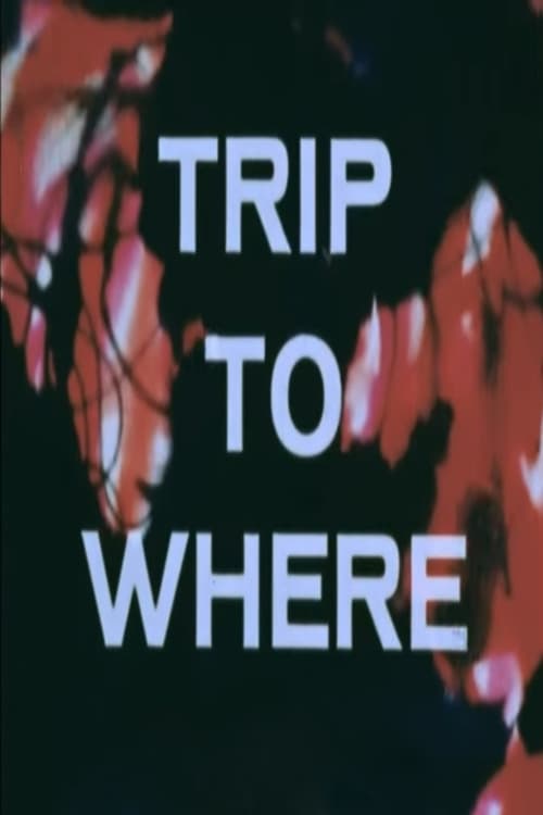 LSD: Trip to Where? (1968) постер