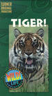 Tiger! (1997) постер