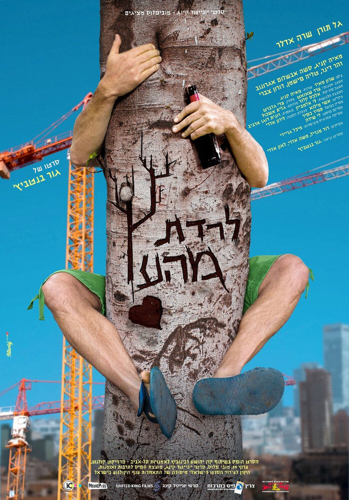 На ложном пути (2013) постер