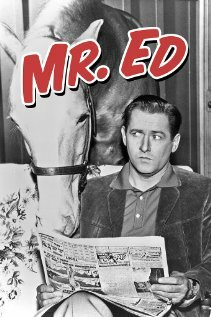 Мистер Эд (1958) постер