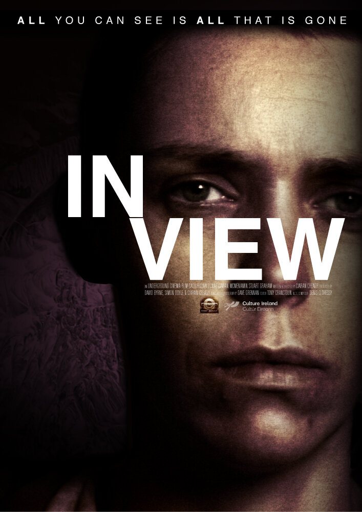 In View (2016) постер