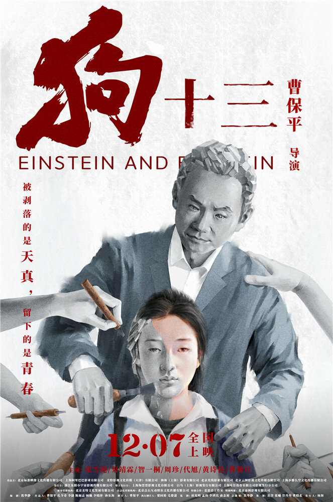 Эйнштейн и Эйнштейн (2013) постер