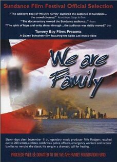 Создание и смысл фильма «Мы семья» (2002) постер