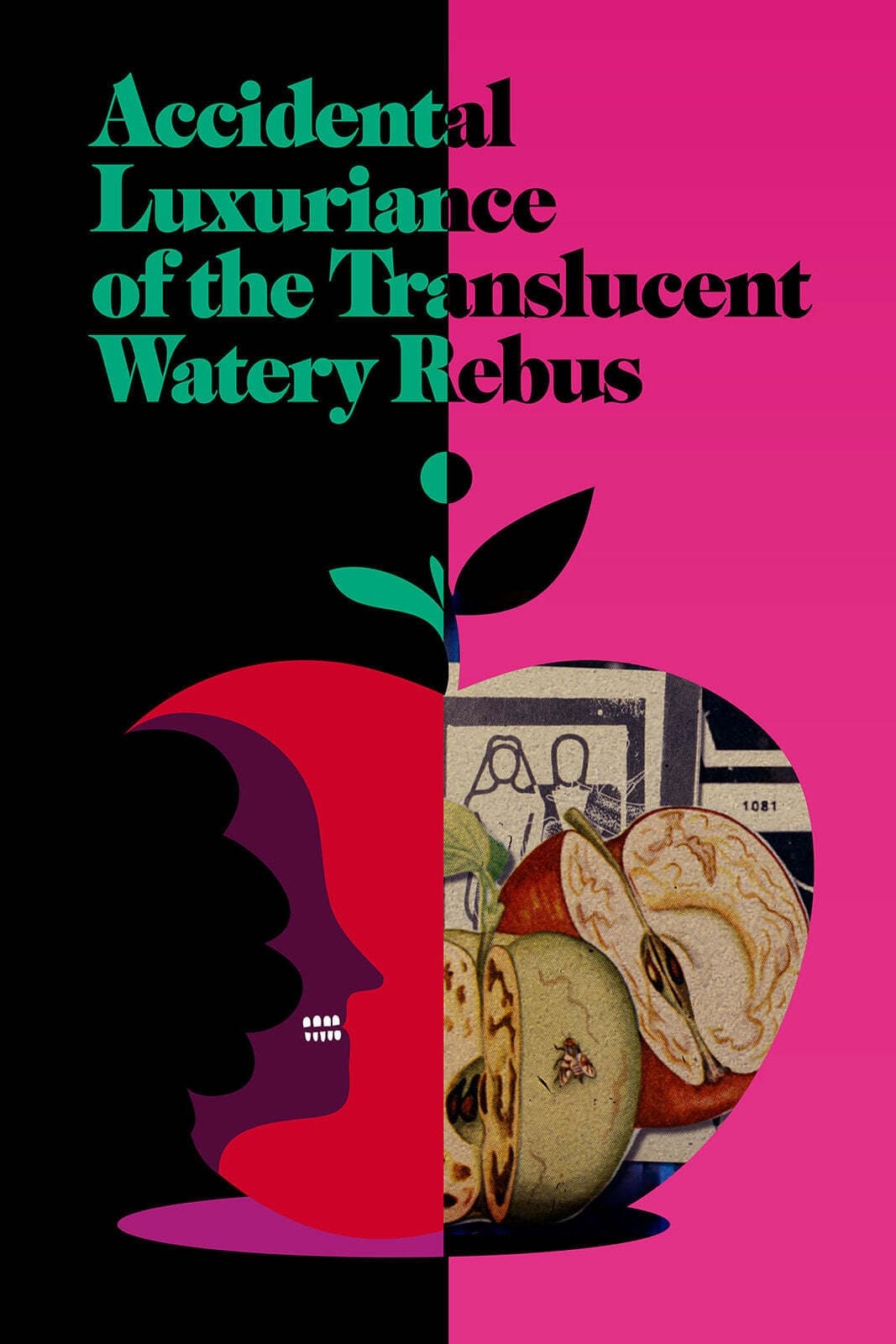 Accidental Luxuriance of the Translucent Watery Rebus (2020) постер