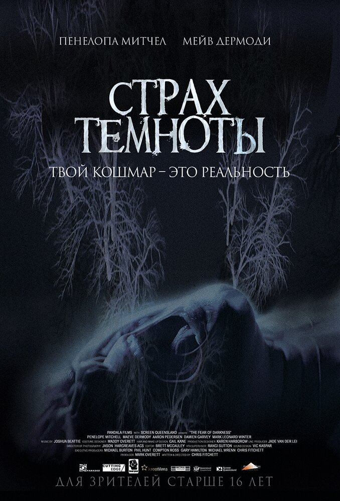 Страх темноты (2014) постер
