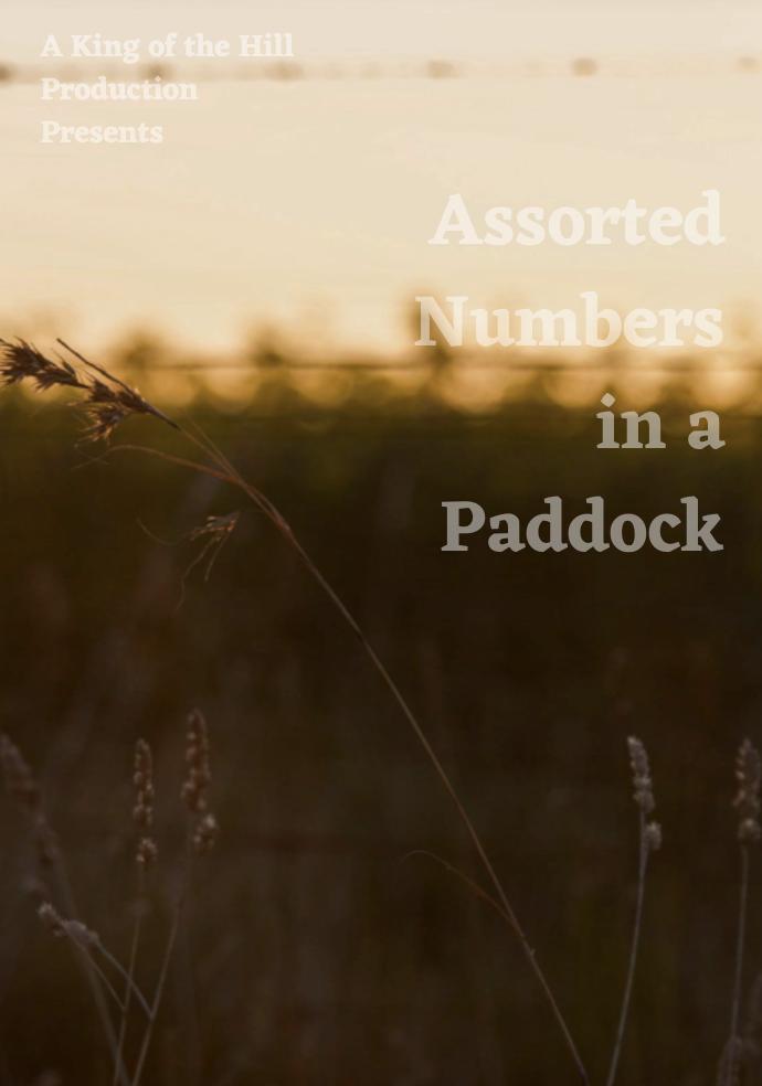 Assorted Numbers in a Paddock (2021) постер