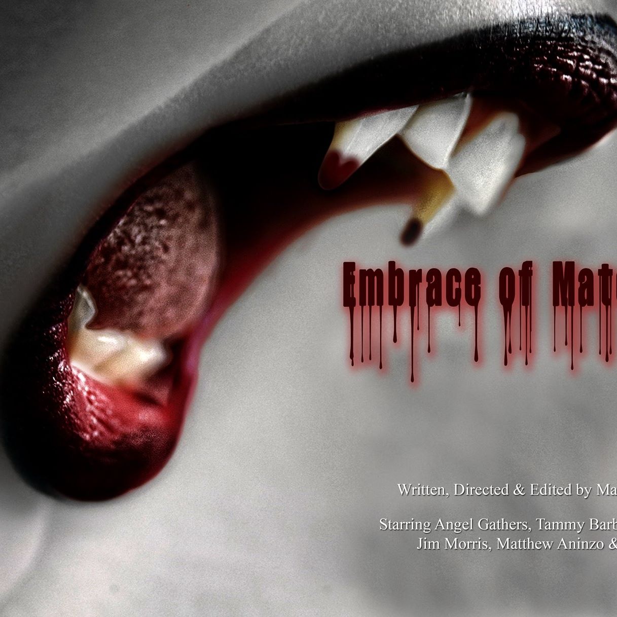 Embrace of Mateos Blood Part 4 (2021) постер