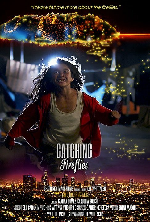 Catching Fireflies (2015) постер