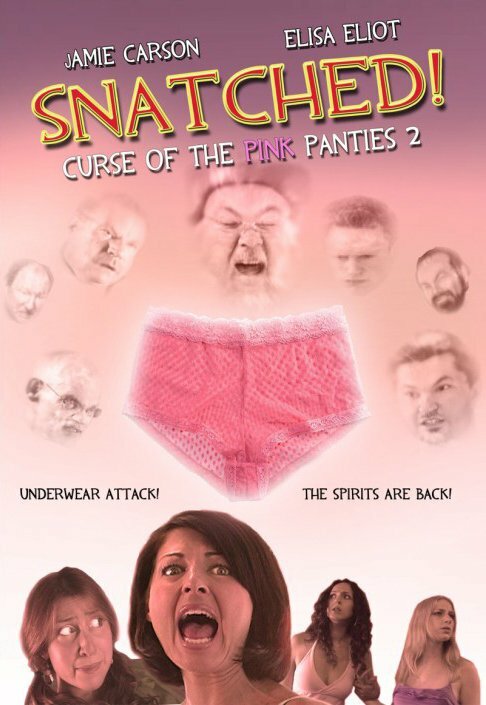 Snatched! (2010) постер