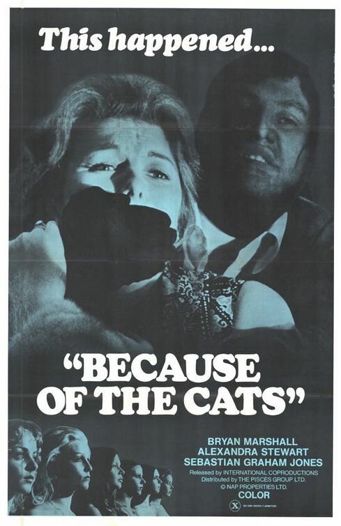 Из-за кошек (1973) постер