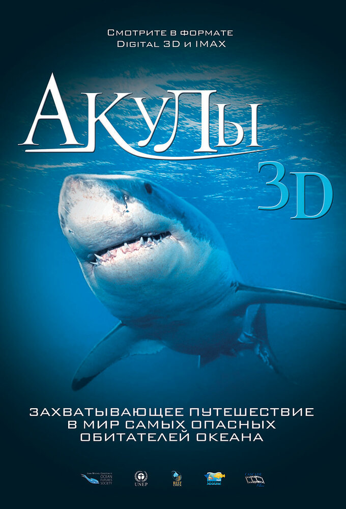 Акулы 3D (2004) постер