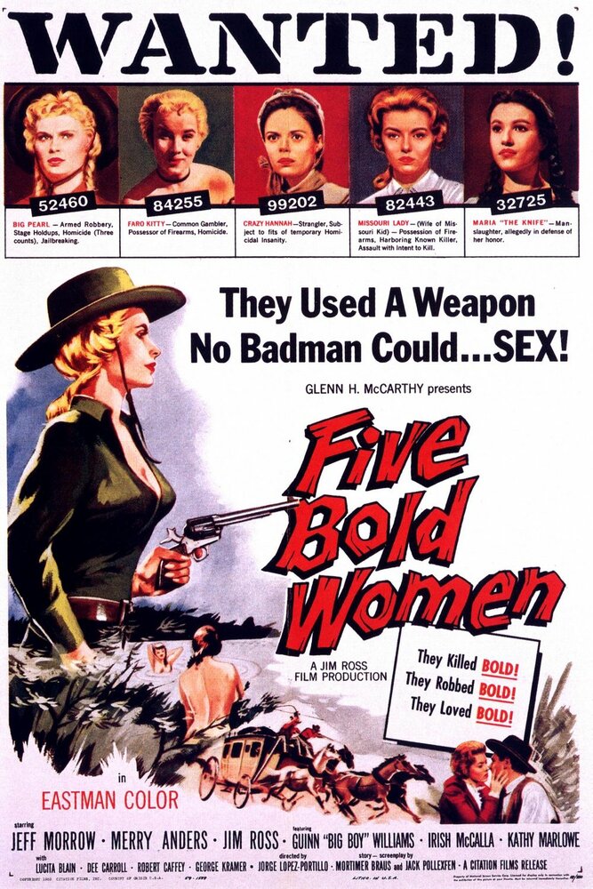 Five Bold Women (1960) постер