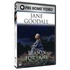 Jane Goodall: Reason for Hope (1999) постер