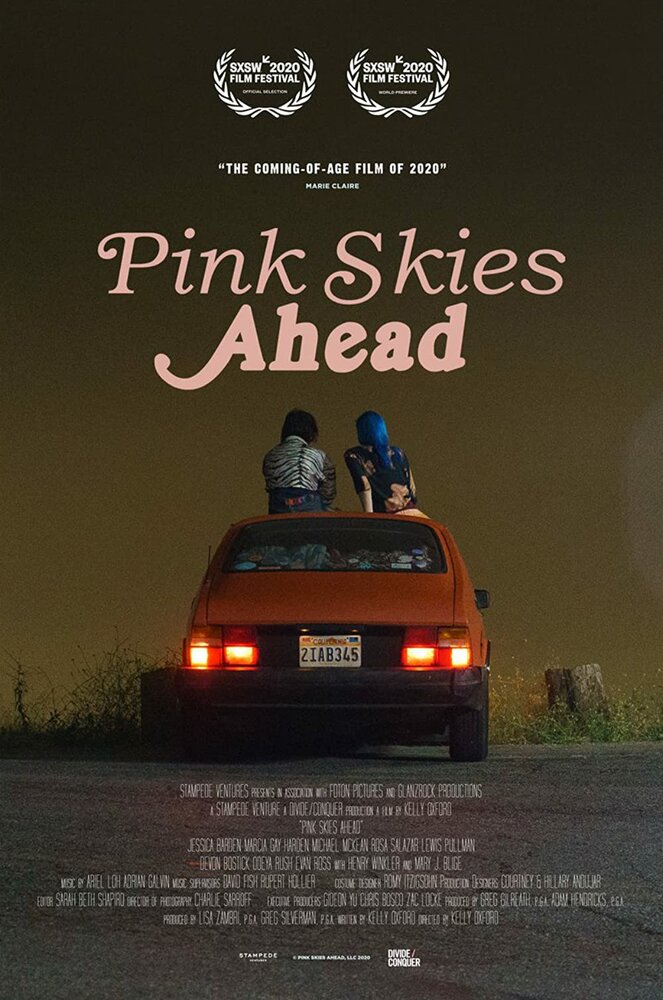Pink Skies Ahead (2020) постер