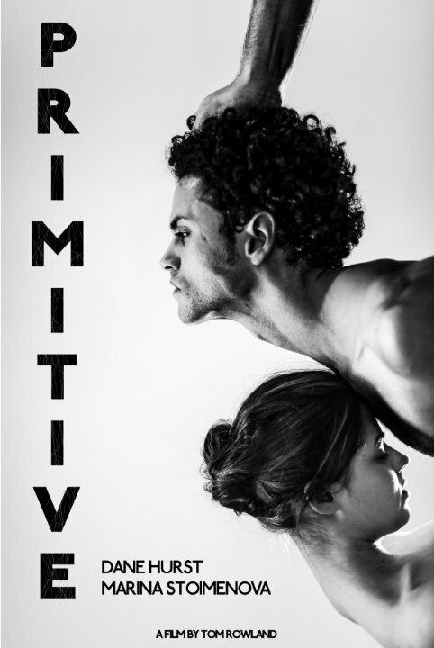 Primitive (2014) постер