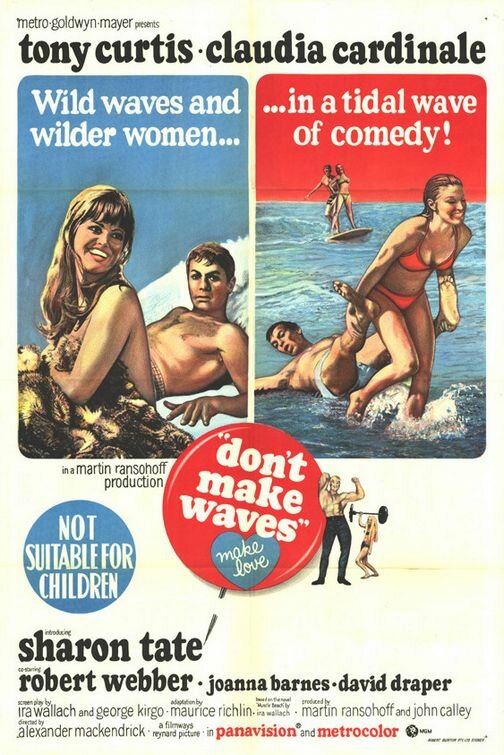 Не гони волну (1967) постер