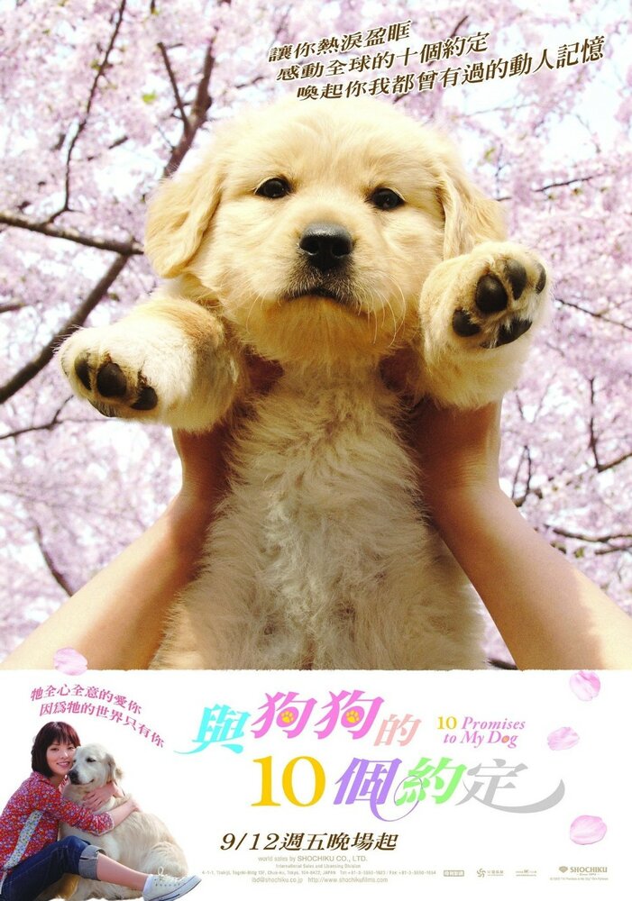10 обещаний моей собаке (2008) постер