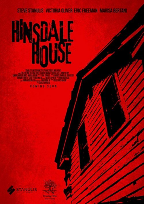 Дом в Хиндсдейл (2019) постер
