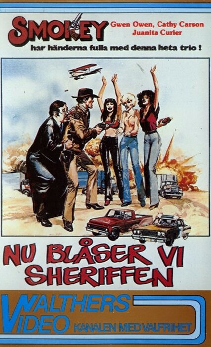 Smokey and the Judge (1980) постер