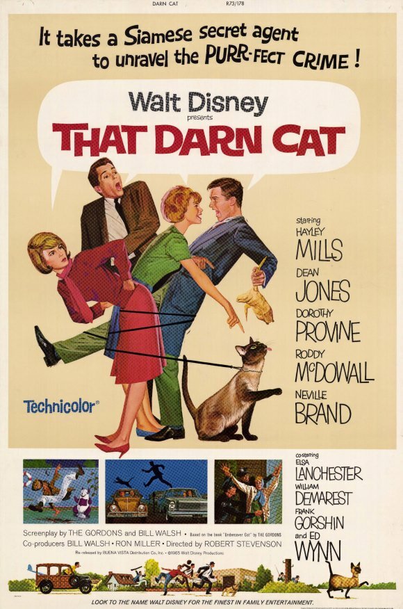 Эта дикая кошка (1965) постер