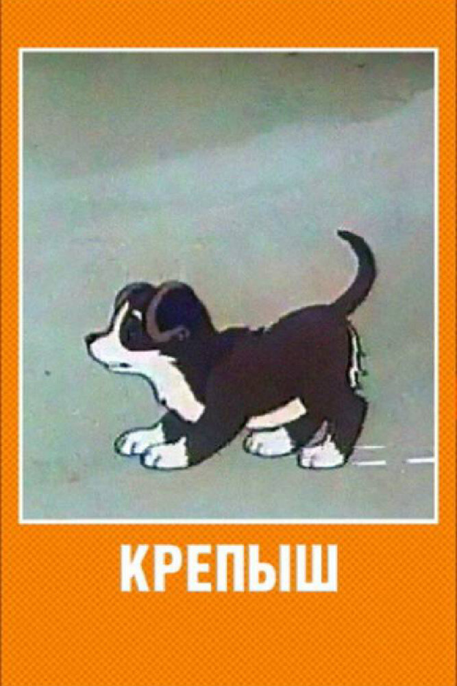 Крепыш (1950) постер
