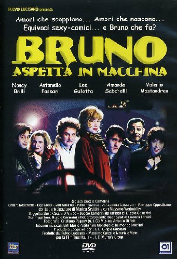 Bruno aspetta in macchina (1996) постер