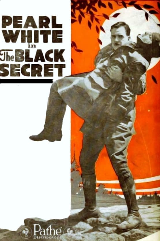 Темная тайна (1919) постер