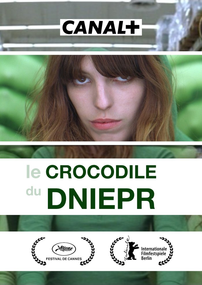 Днепровский крокодил (2010) постер