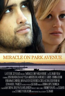 Miracle on Park Avenue (2011) постер