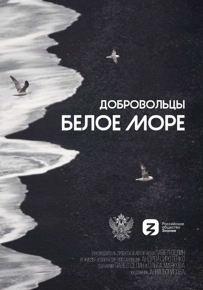 Добровольцы. Белое море (2023) постер