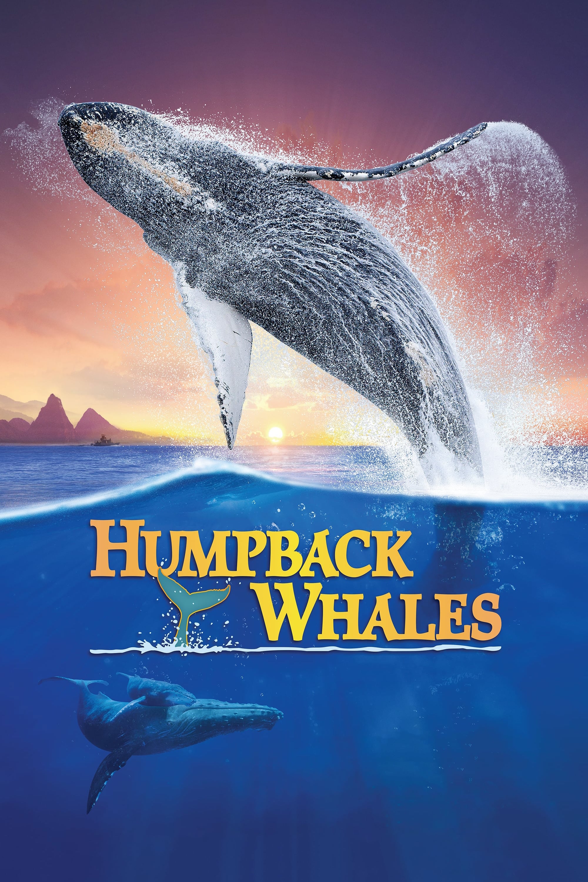 Горбатые киты (2015) постер
