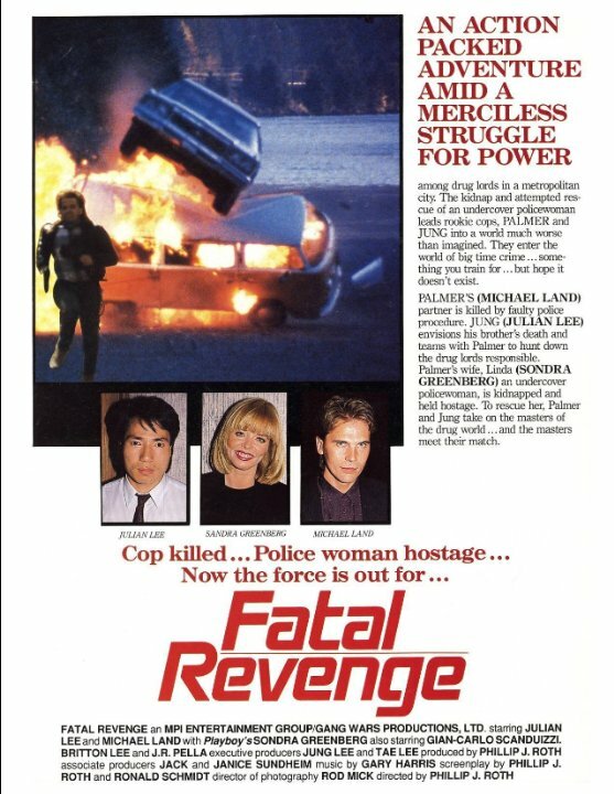 Fatal Revenge (1989) постер