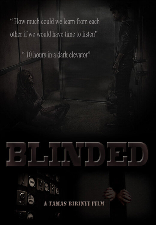 Blinded (2014) постер