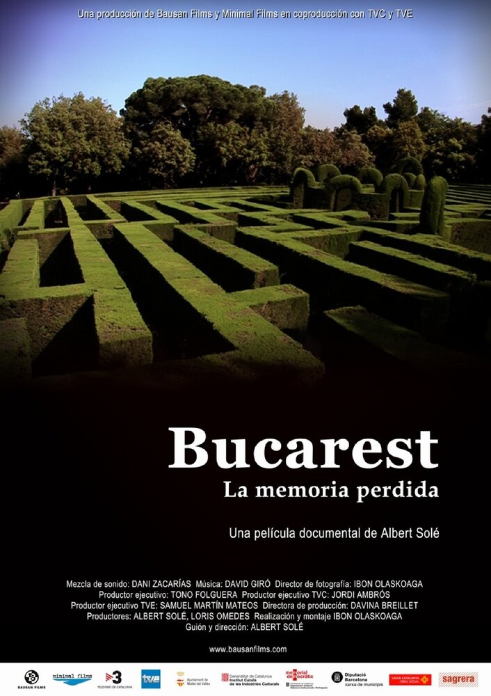 Бухарест, забытая память (2008) постер