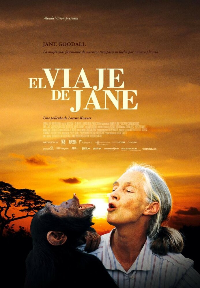Путешествие Джейн (2010) постер