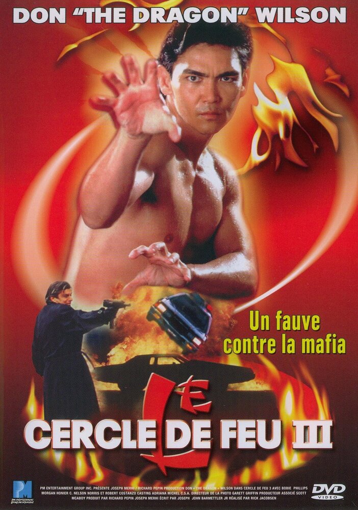 Огненное кольцо 3: Удар льва (1994) постер
