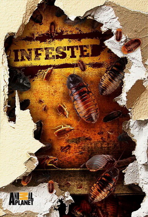 Вторжение паразитов (2011) постер