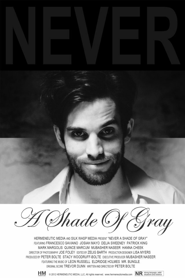 Never a Shade of Gray (2012) постер