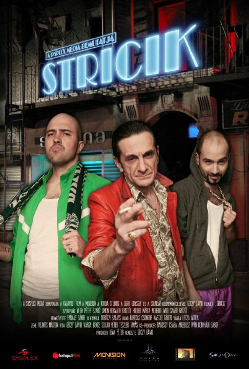 Stricik (2010) постер