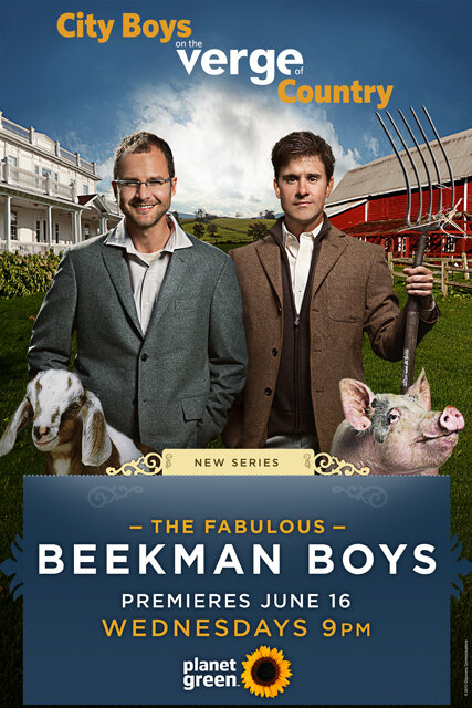 The Fabulous Beekman Boys (2010) постер