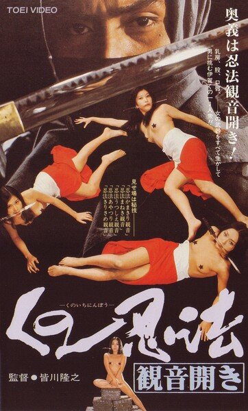 Хроники династии ниндзя (1991) постер