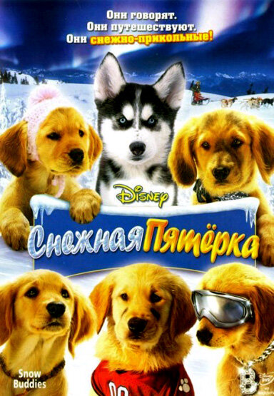 Снежная пятерка (2008) постер
