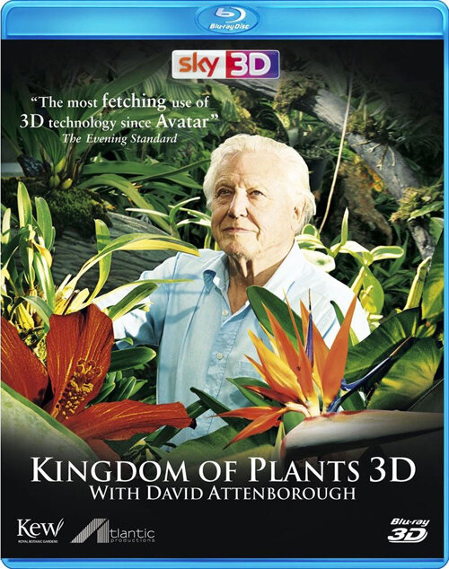 В королевстве растений (2012) постер