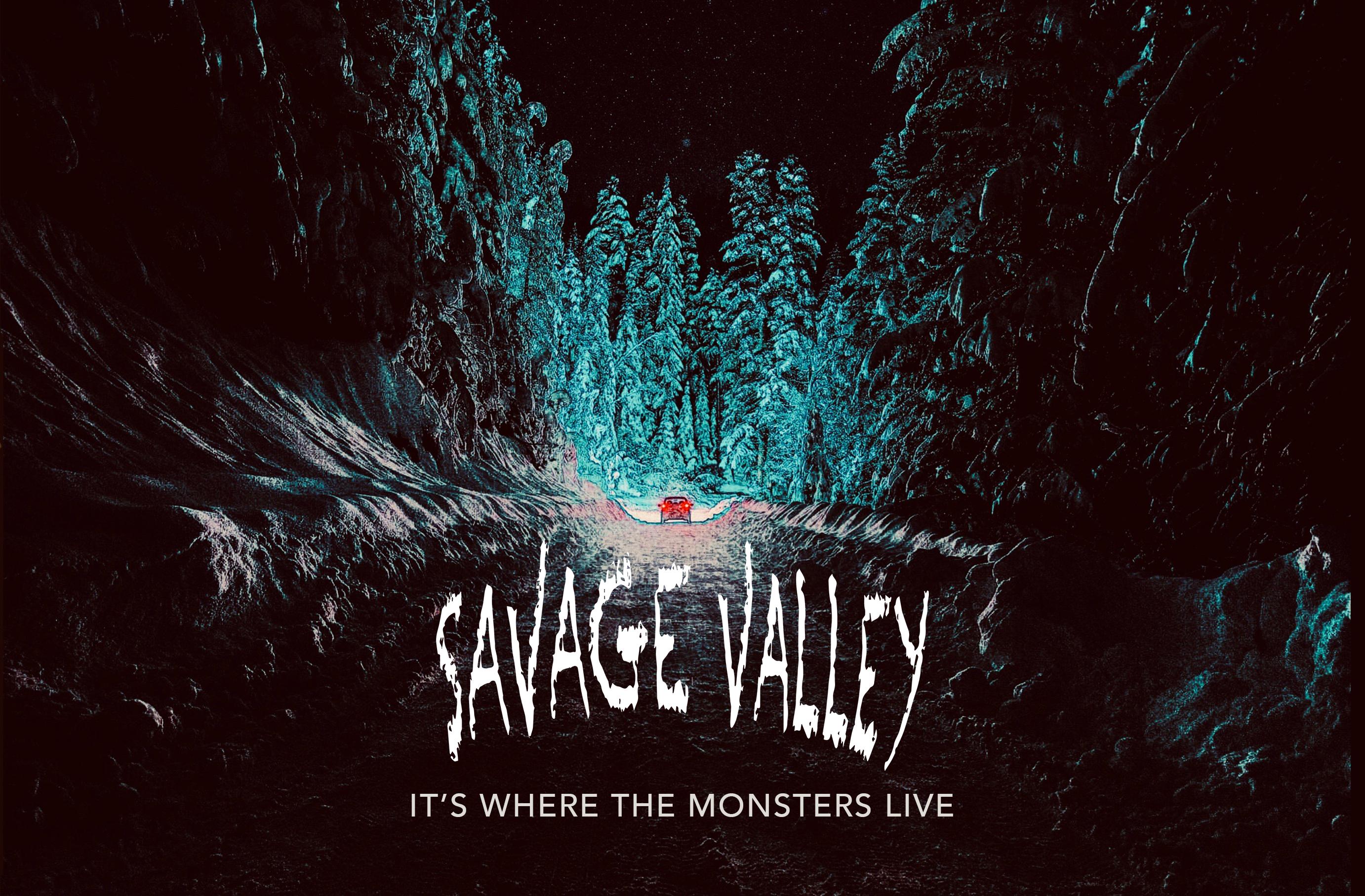 Savage Valley (2021) постер