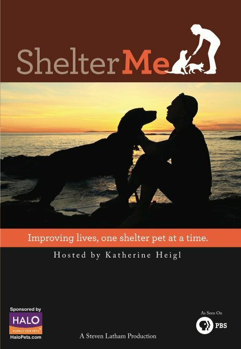 Shelter Me (2012) постер