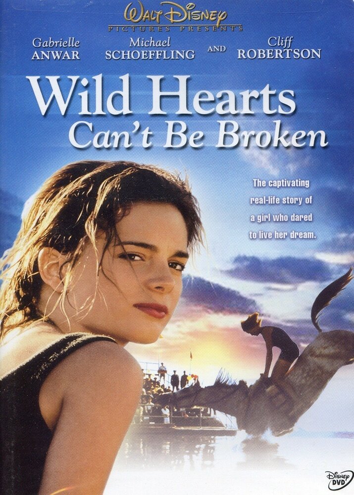 Храбрых сердцем не сломить (1991) постер