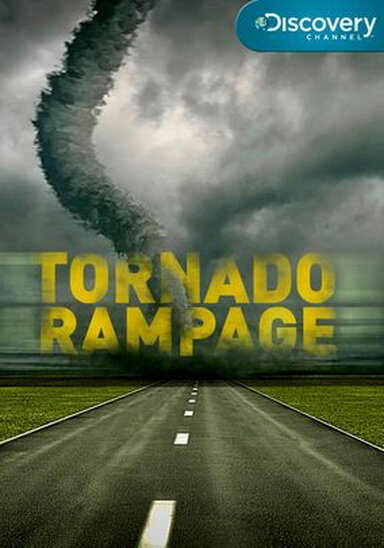 Неистовый торнадо (2011) постер